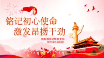 字母哥力压詹姆斯首次当选全明星票王